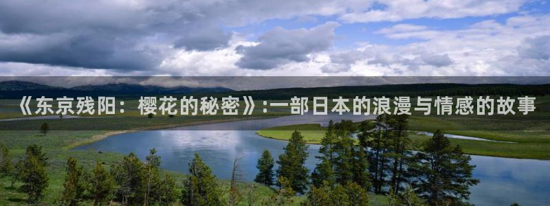 星空电影 网