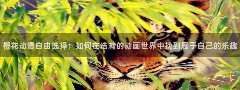 星空影业有限公司