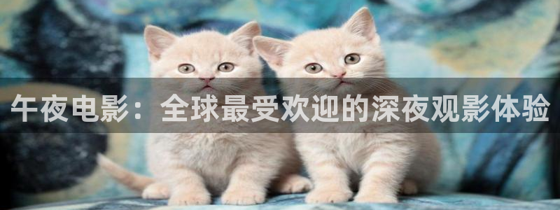 星空视频在线免费观看