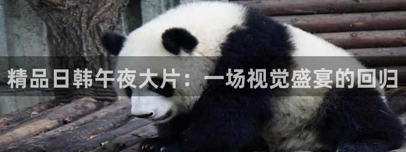 星辰影院手机免费观看