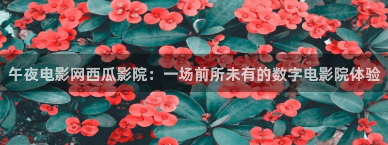 星空影视解说