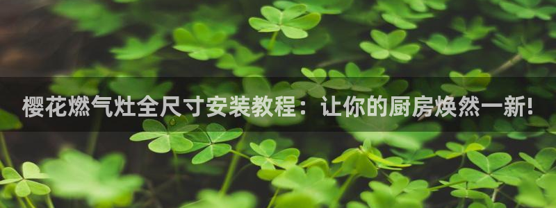 星辰影院最新电视剧大全