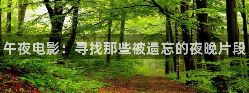 影视厅星空顶图片