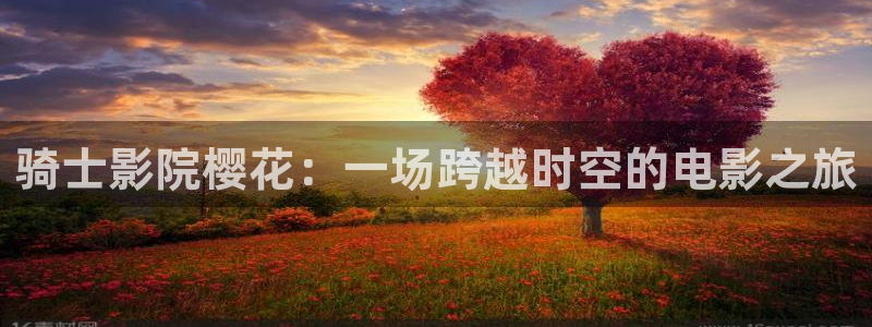 星空动漫网