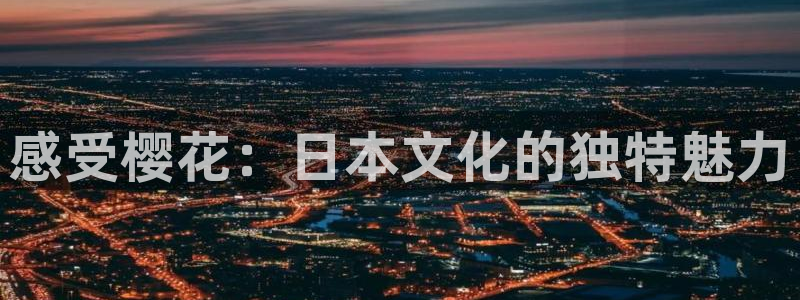 《琅琊榜》星辰影院