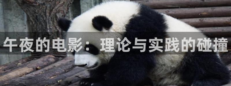 星空电影免费在线观看