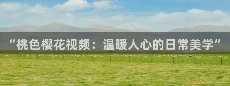 星空影视2020