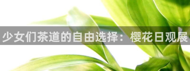 星辰影院电视剧在线看