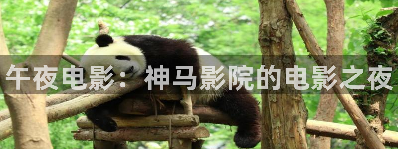 星空电影在线观看免费版高清