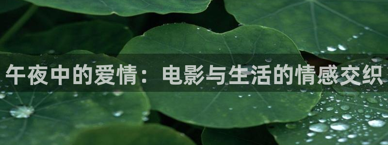 星辰影院免费观看电影伦理片