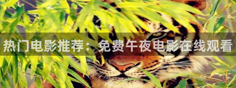 星空传媒高清