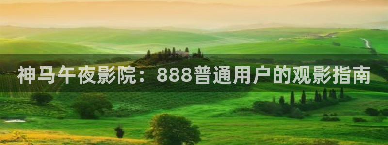 请叫我总监星辰影院