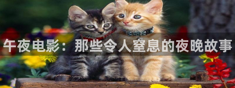 星辰影院在线免费看电影